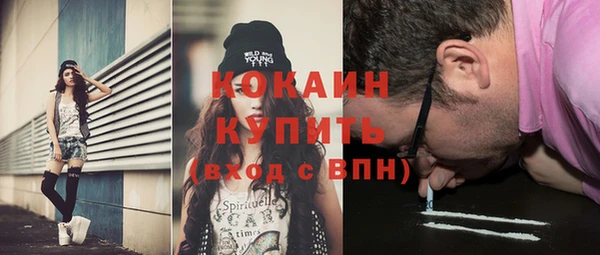 твердый Касимов