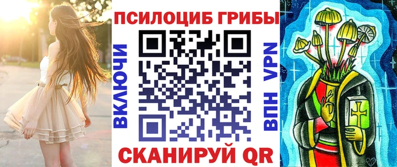Купить закладки  Заинск  Псилоцибиновые грибы GOLDEN TEACHER 